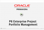 CDP Oracle Primavera P6 Demo