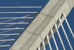 CDP provides project management solutions for engineering firms.