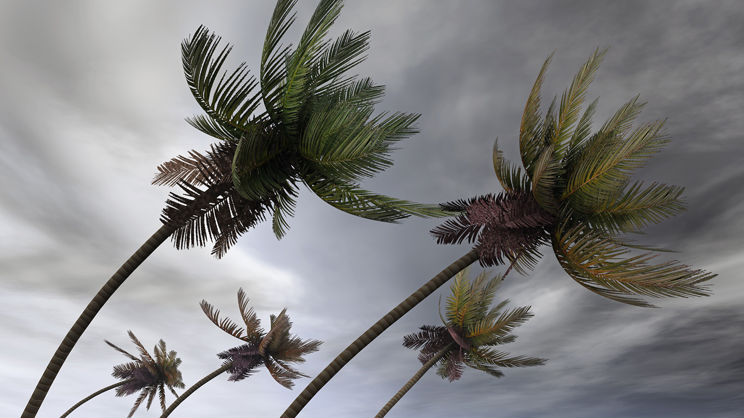 Damage Control: Major Rebuilds After Major Weather Events